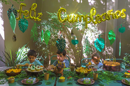 Packs Deco - Dinosaurios