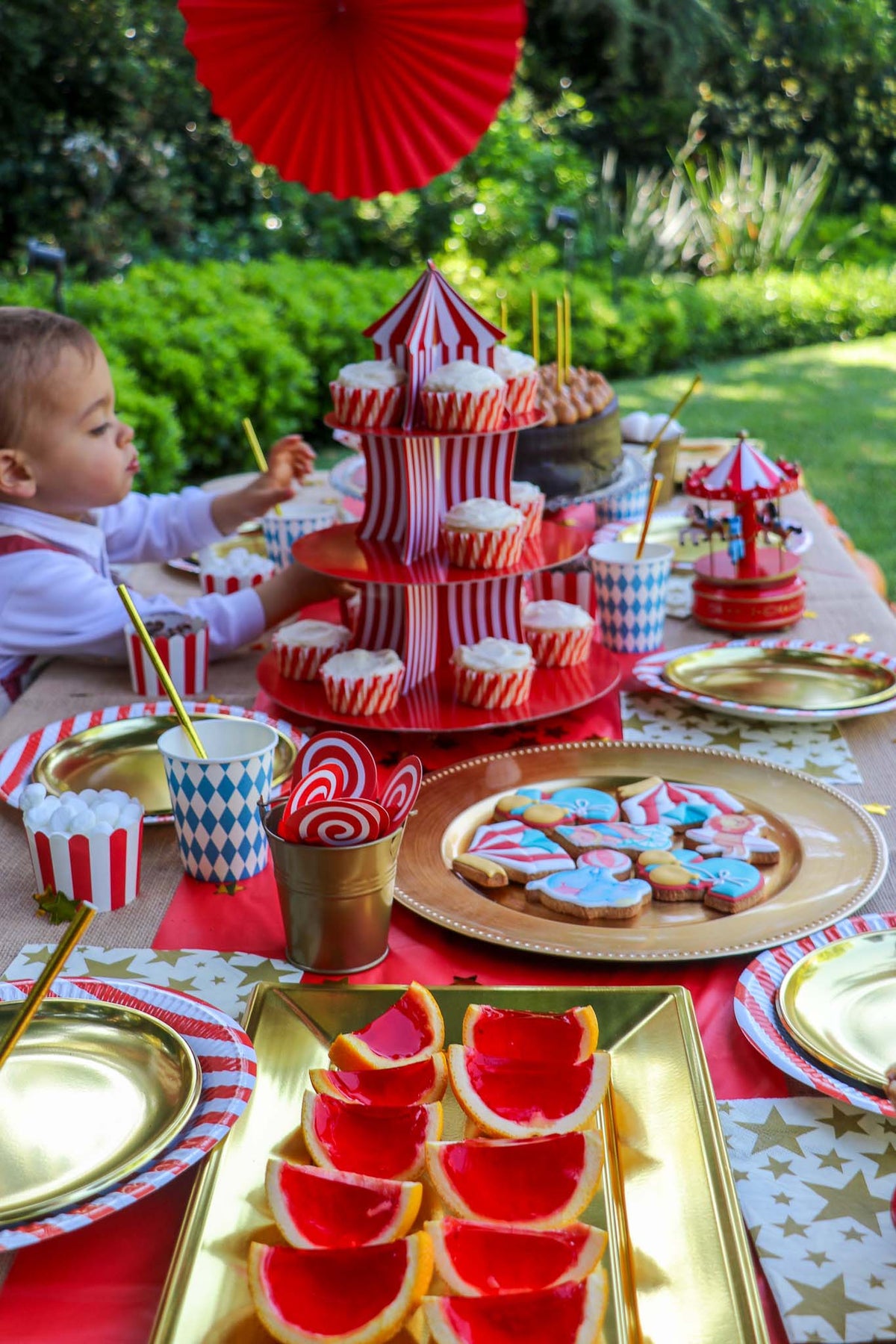 🎪 Temática Circo - foto 1